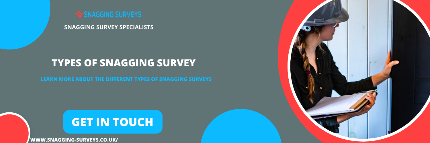 types of snagging survey