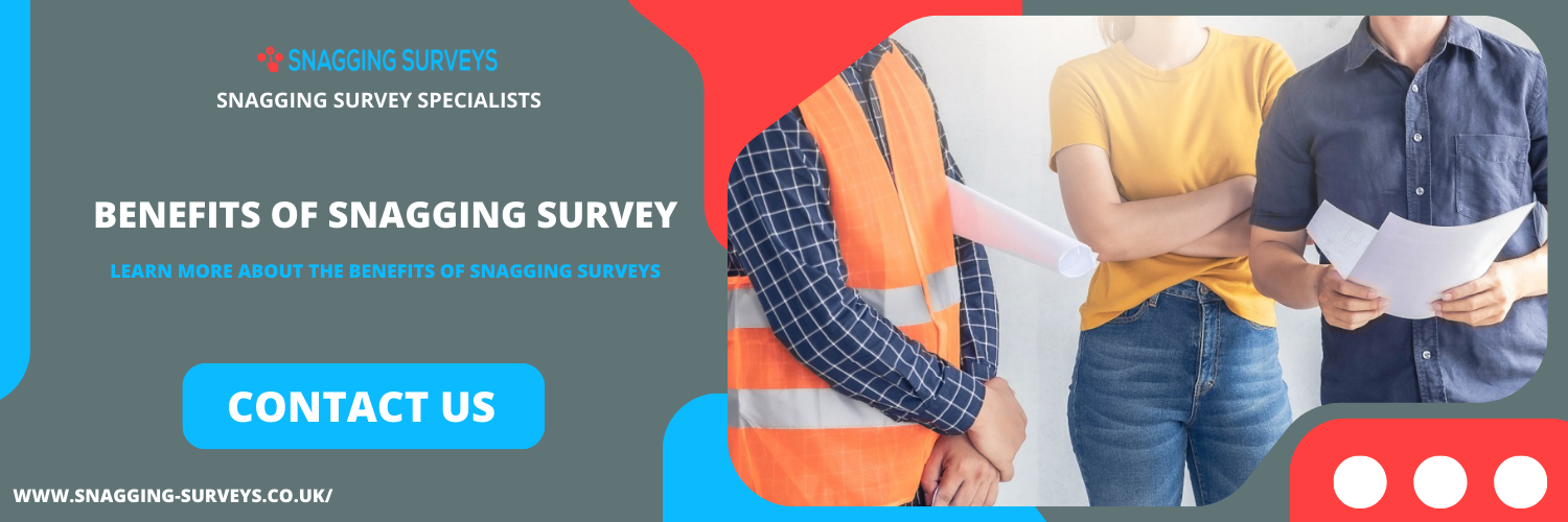 benefits of snagging survey